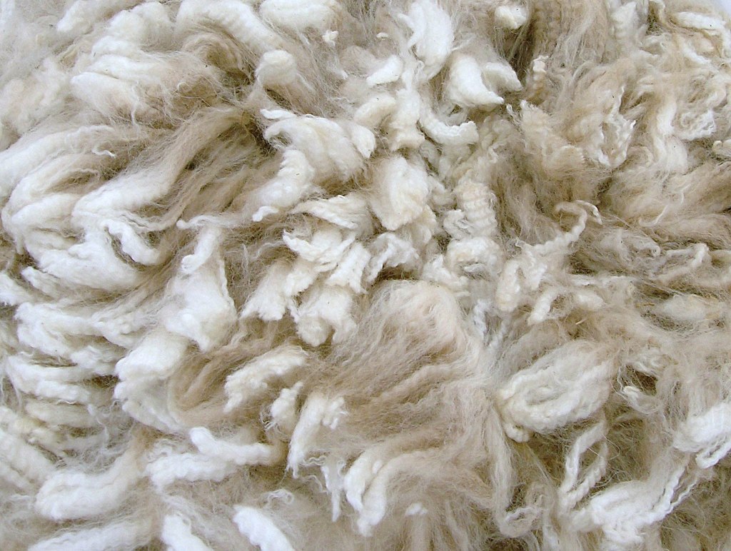 Alpaca fleece